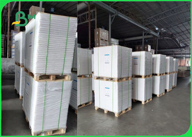 Giấy bìa nghệ thuật bóng hoặc Matt từ 150gm đến 300gm cho quảng cáo sách nhỏ màu trắng