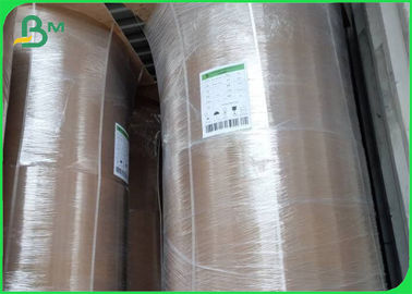 Vòng giấy kraft tre môi trường 50GSM - 250GSM