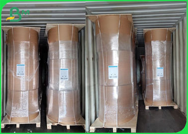 Vòng giấy kraft tre môi trường 50GSM - 250GSM