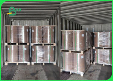 787mm 1194mm Thử nghiệm Kraft Liner Board Roll For Menu Tăng lực tốt
