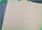 FSC phê duyệt giấy cuộn 787mm 889mm cho bao bì giữ ẩm