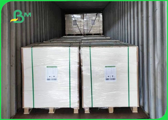 Tấm bảng FBB dày 1,0mm 1,2mm Độ bền mạnh mẽ cho hộp quà tặng