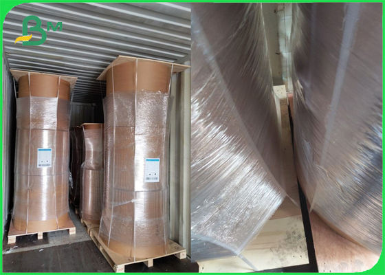 Cuộn giấy kraft màu nâu PE phủ một mặt 80gm