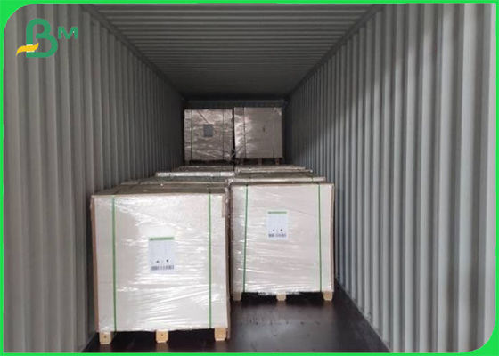 Virgin Pulp phủ FBB Ivory Board 305g / 345g In Offset