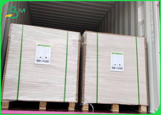 Virgin Pulp phủ FBB Ivory Board 305g / 345g In Offset