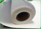 Graph Paper Roll 20lb 24 &quot;X 300&quot; Size 2 &quot;Plotting Paper Roll 3 Rolls carton
