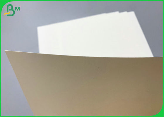 Giấy chứng nhận SGS 230g 260g PE Coated Cupstock Base Paper 850mm Roll