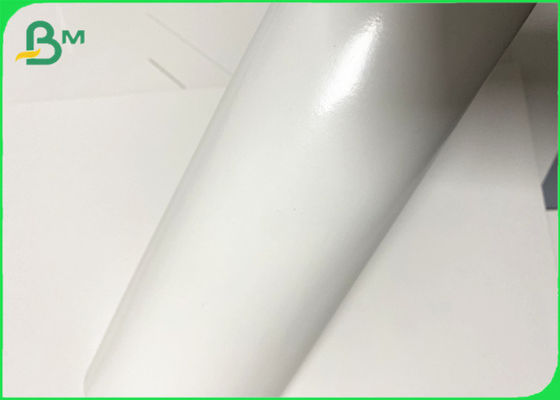 330 + 12 + 15 GSM 2PE tráng giấy Cupstock cho ly đồ uống lạnh
