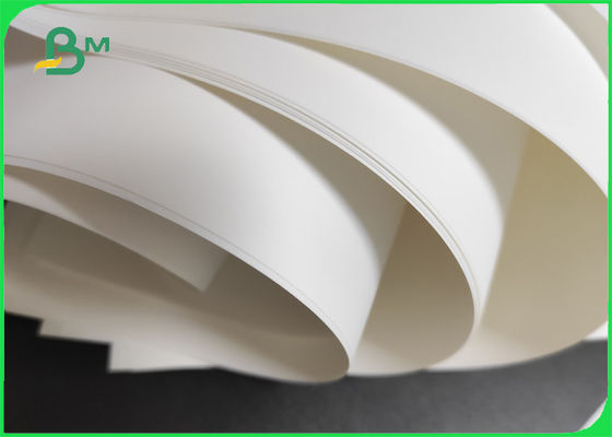 Giấy in phun tổng hợp Giấy mờ Bề mặt sáng không thể xé được