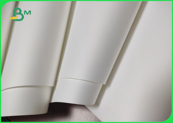 100% Cây - miễn phí giấy tổng hợp có thể tái chế cho thẻ nhãn