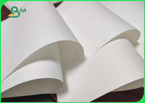 100% Cây - miễn phí giấy tổng hợp có thể tái chế cho thẻ nhãn