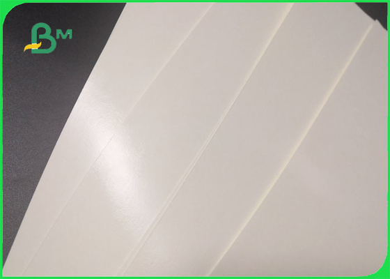 Giấy chống thấm nước 300gsm + 18g PE Cup cho đồ uống nóng / lạnh 740mm 800mm