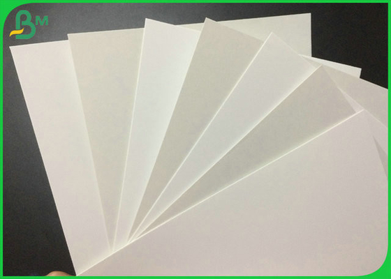325GSM 350GSM Giấy ngà một lớp tráng thực phẩm cho hộp gói bánh