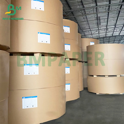 Hộp đóng gói thực phẩm chống mỡ Kraft màu nâu PE phủ giấy cuộn