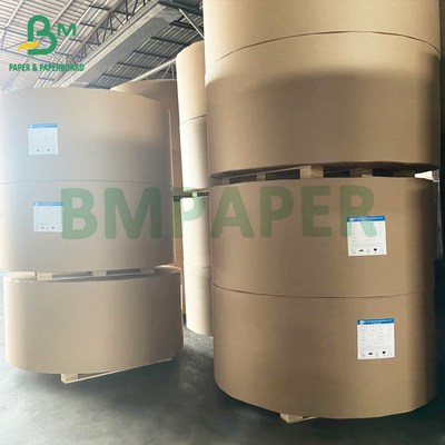 Hộp đóng gói đồ ăn nhẹ chống dầu không bạch