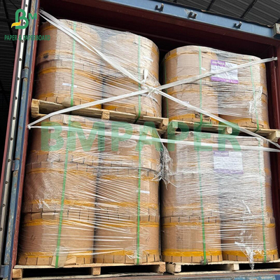 Giấy bảo vệ bên ngoài quả xoài 56gsm chống thấm nước và chống côn trùng