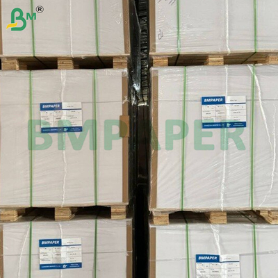 40gsm + 10gsm PE phủ một mặt giấy trắng bóng MG