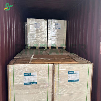 Giấy Kraft Tráng Phủ 280gsm 300gsm 100% Bột Gỗ Nguyên Sinh Màu Trắng Dùng Làm Hộp Đựng Thực Phẩm