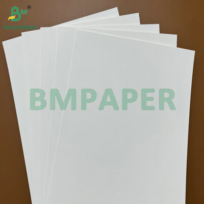 200gsm Tạo ra giấy thô hấp thụ nguyên liệu cho Bia Mat & Cup Mat