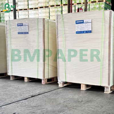 300gm Bảng giấy đáy chén cứng cao loại thực phẩm