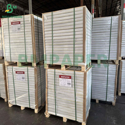 Giấy thấm tinh bột gỗ nguyên chất màu trắng dày 1.6mm 1.7mm 1.8mm dùng làm đế ly 66 x 106cm
